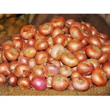 পিয়াজ (দেশী) নতুন Onion (Desi) 1 kg