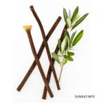 জয়তুন মেসওয়াক/মিসওয়াক | Jaytun Meswak | Olive tree miswak
