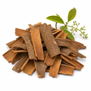 দারুচিনি – Cinnamon Sticks