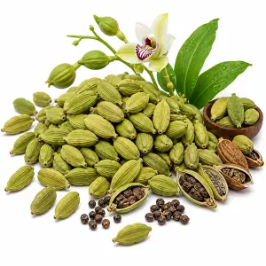 এলাচ – Cardamom