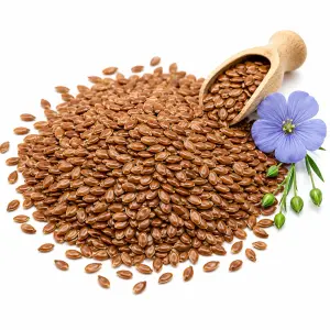 তিসি | Tishi | Flax Seed